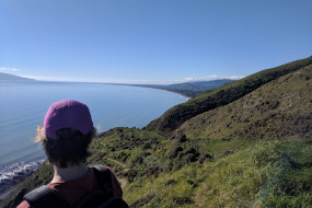 Lookout towards Paekākāriki