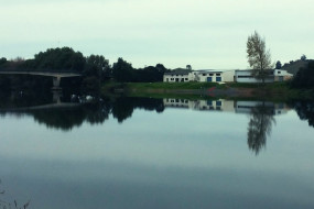 Mercer Bridge