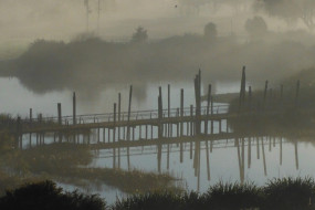 Ngaruawahia