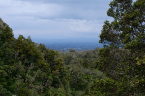 View over Taranaki from near Dawson Falls