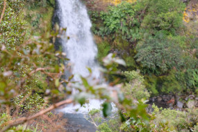 Dawson Falls