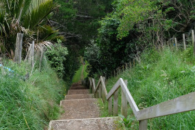 Herekawe Walkway entrance from Manadon St
