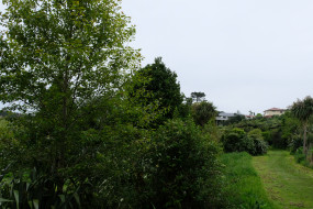 The Herekawe Walkway