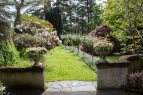 Tupare Elizabeth Garden