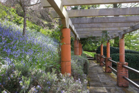 Tupare Pergola