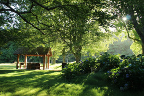 Tupare River Flat Barbeque area