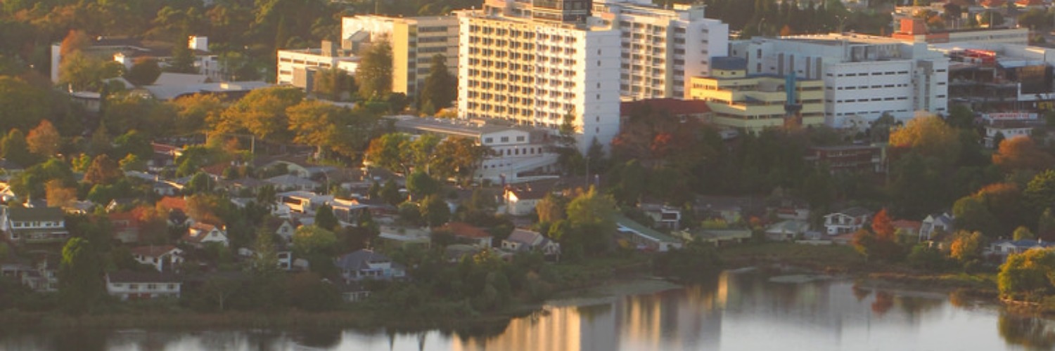 Hamilton City