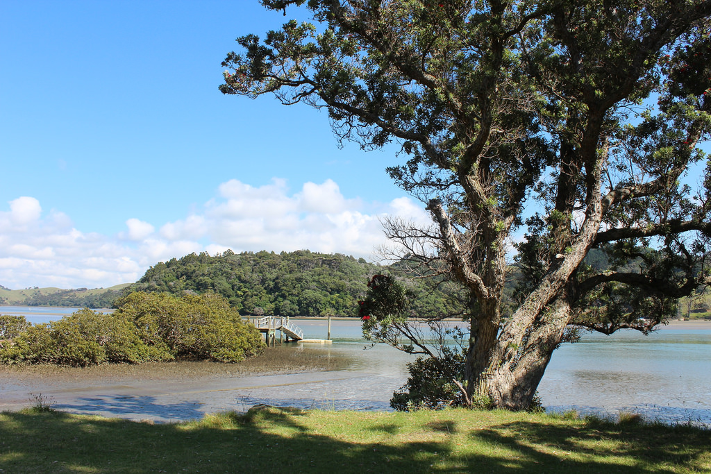 Puhoi to Wenderholm Kayak