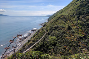 Swing Bridge 2 on the Escarpment Track