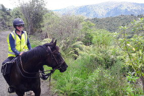 Horse Riding on 42 Traverse