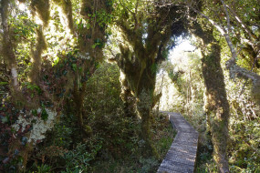 Pirongia to Waitomo