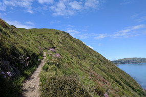 Stairs going up to the top of the Escarpment Track