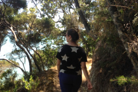 Opua to Paihia Coastal Walkway 