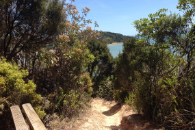 Opua to Paihia