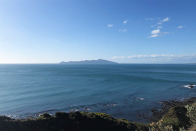Dani Kapiti Island Photo