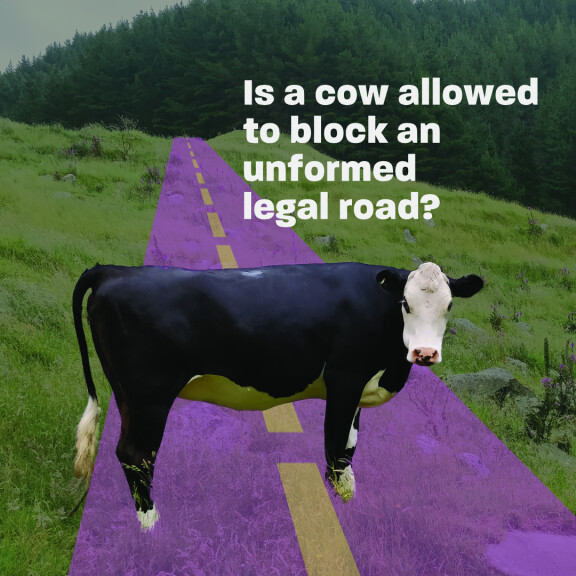 Cow on ULR