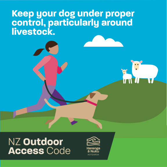 NZ Outdoor Access Code "Keep your dog under control, particularly around livestock"