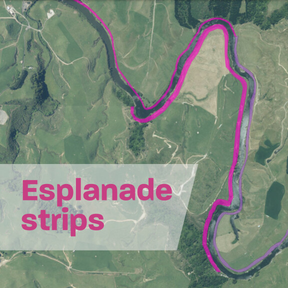 Esplanade Strips