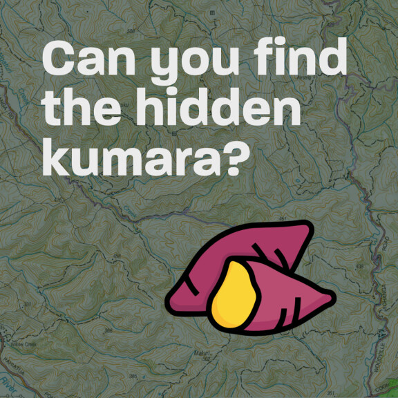 Hidden Kumara Insta Square v2