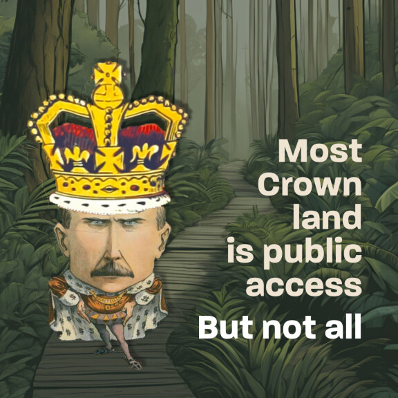 King walking on Crown land