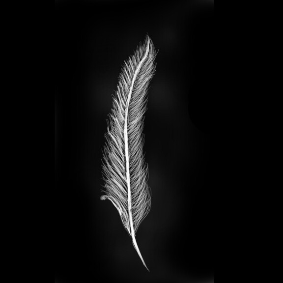 Parihaka