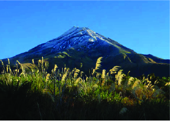 Taranaki