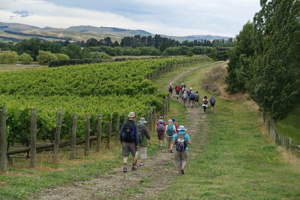 Waipara Vineyard Trail