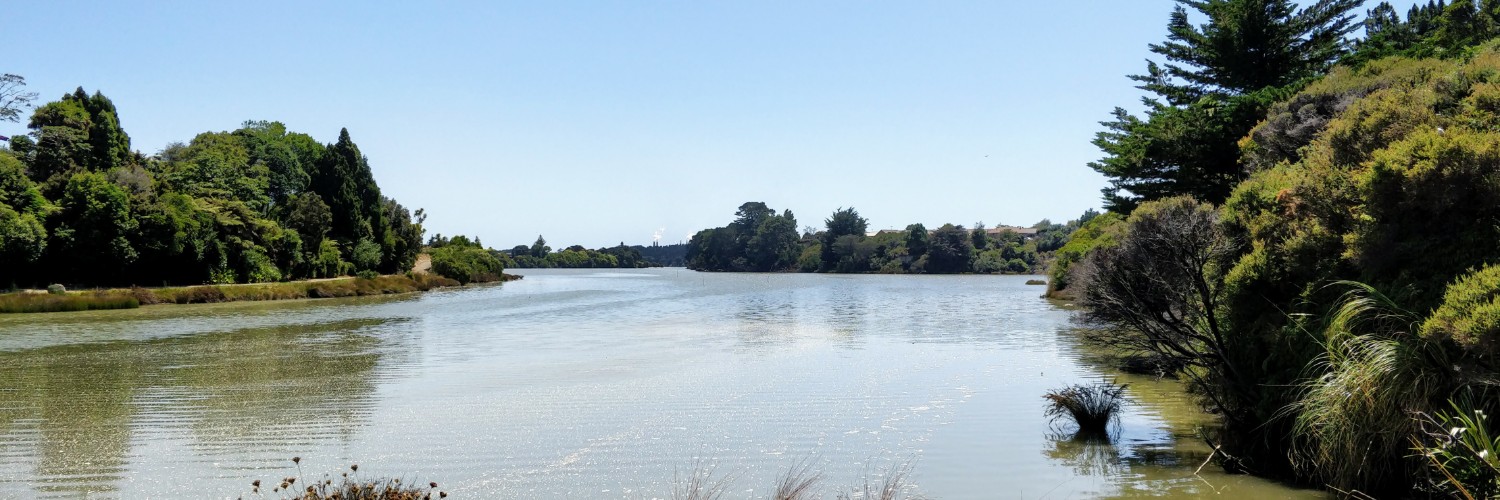 Waiuku Trail