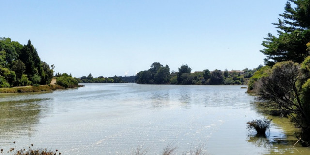 Waiuku Trail, Waikato River