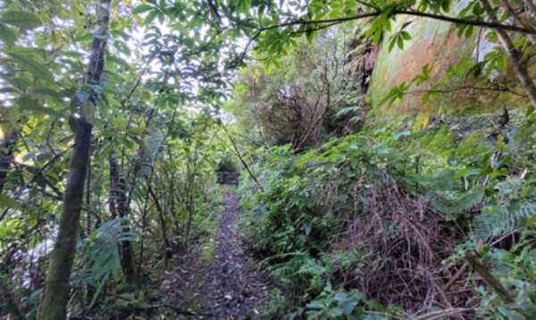 Wangapeka Track