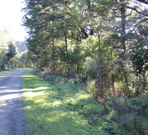 Whareama Road, Rewa Bush