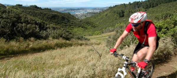 Mountain biker on dirt trail with greenery, Wellington city and harbour in the background