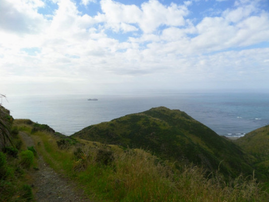 Te Kopahou, Cook Strait Ferry