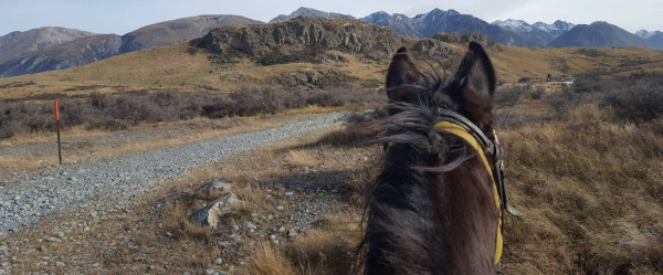 View of the back of a horse's head with mountains beyond.
