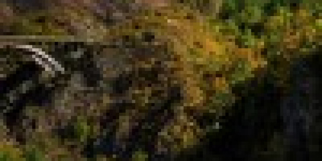 Find My Adventure DLE
