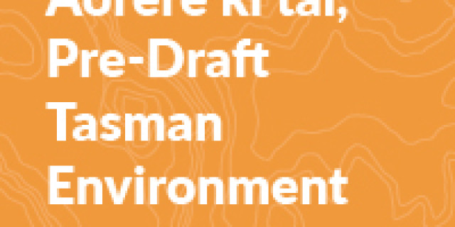Submission to Aorere ki uta Aorere ki tai Pre Draft Tasman 100